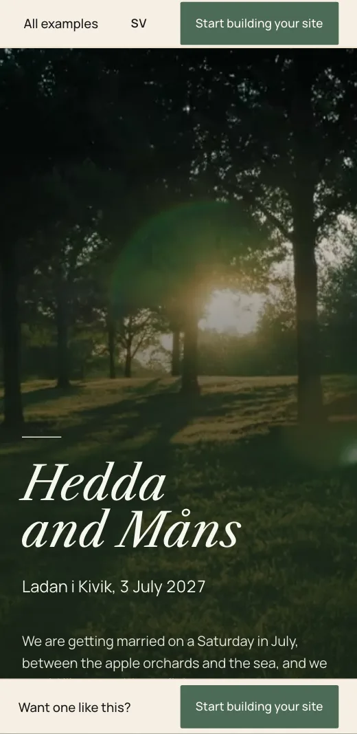 The top of Hedda and Måns's wedding website in the Rustic style: evening sun between the trees and the names in script.